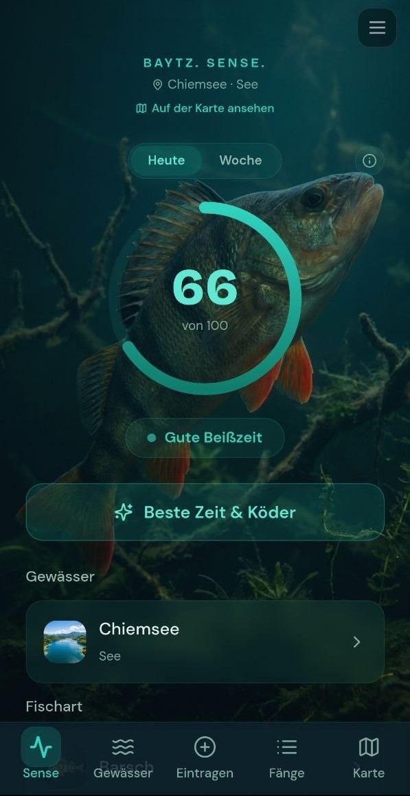 Baytz. Sense. App